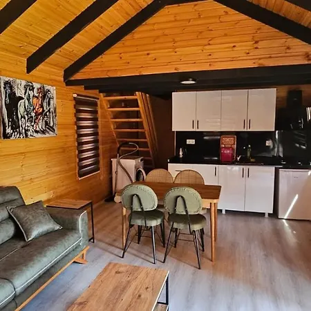 101 Guen Kiralik House Kayacik * دالامان